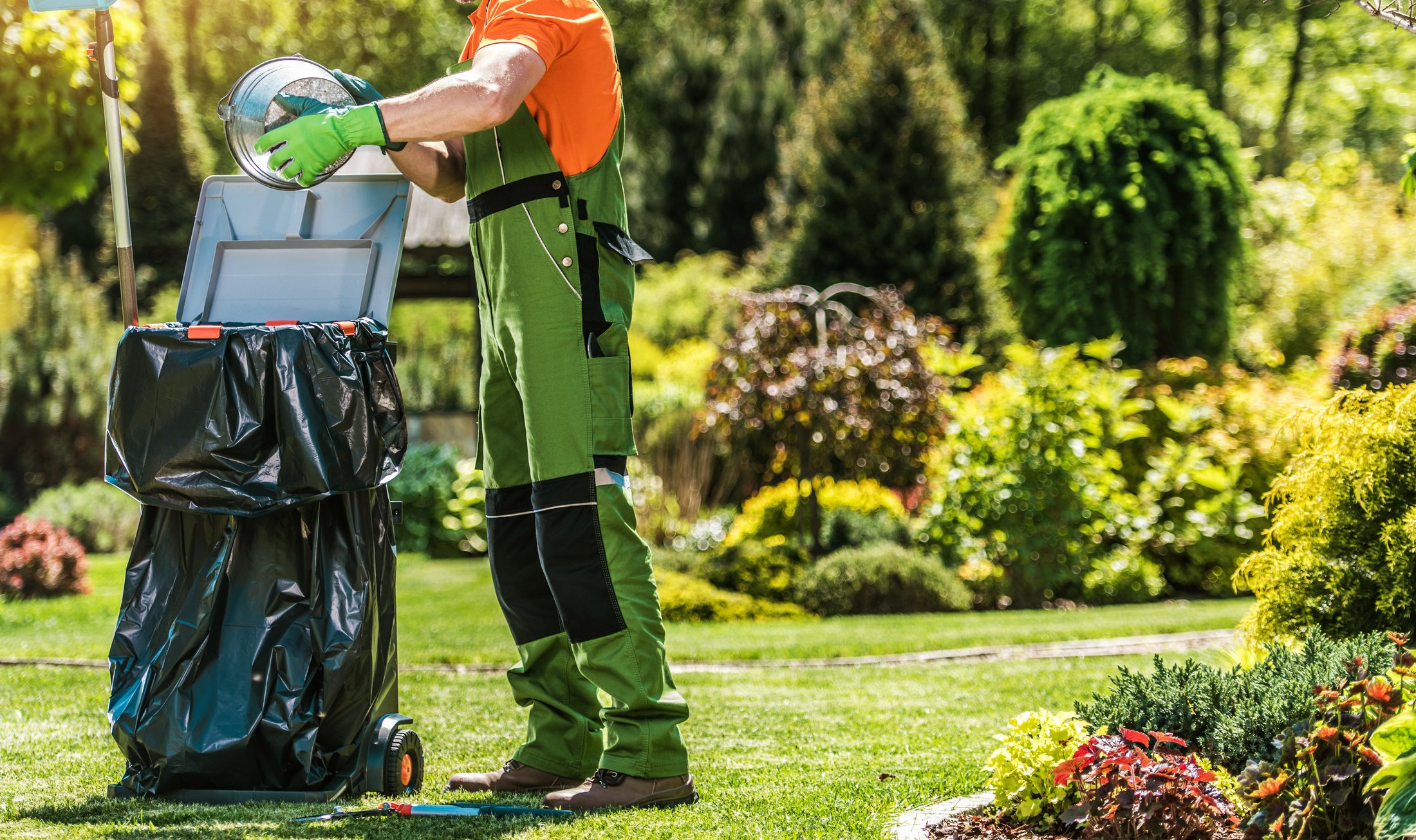 Spring Time Back Yard Garden Maintenance and Cleaning