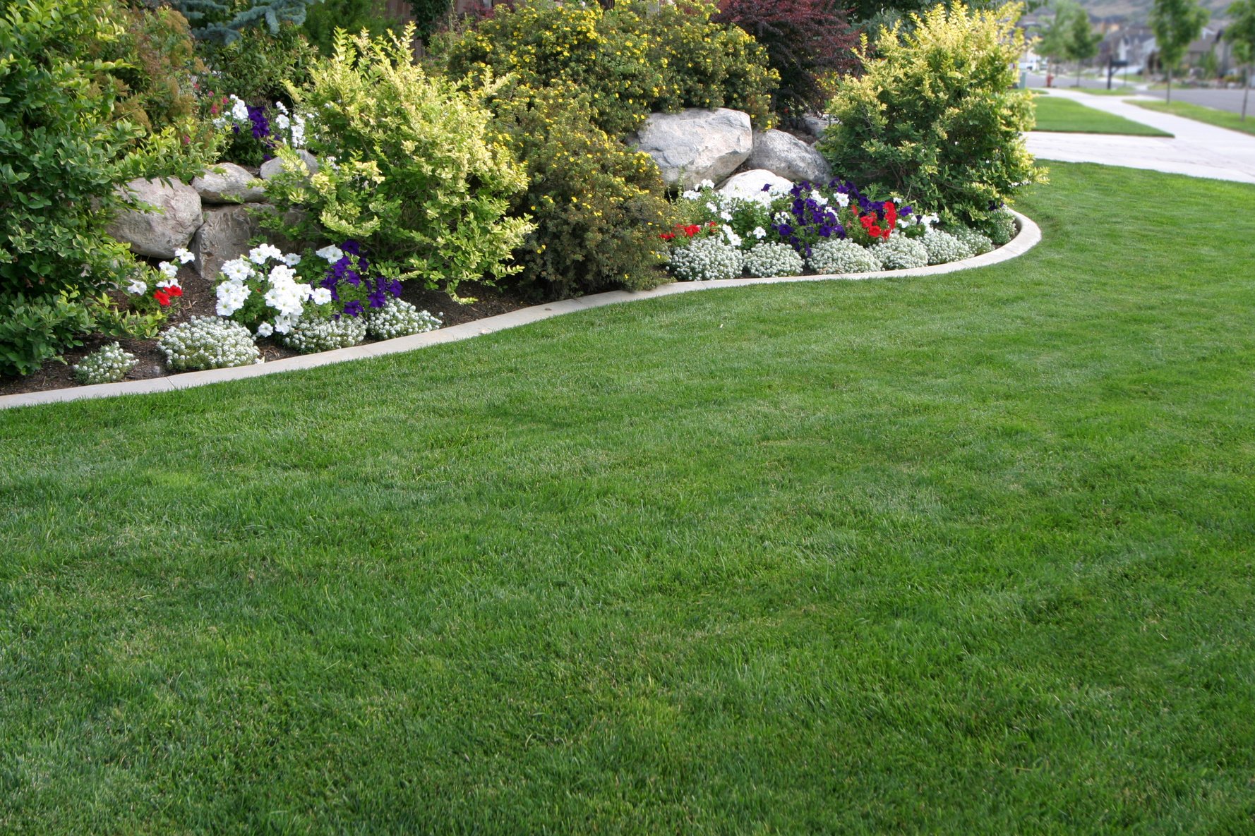 Landscaped Yard